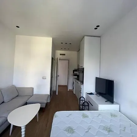 Daire Central Studio Tiran